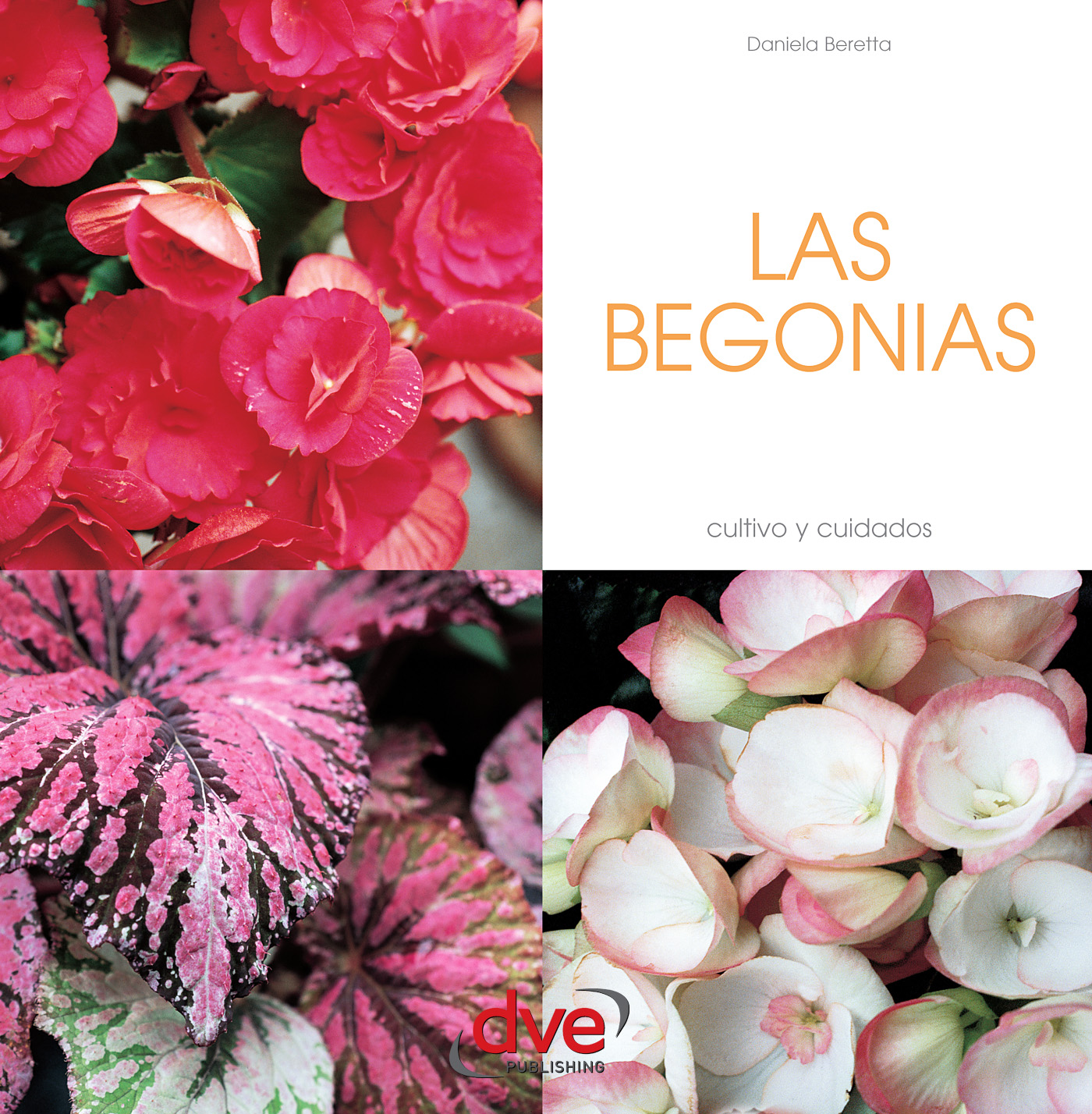 LAS BEGONIAS - Libreria Atalaya